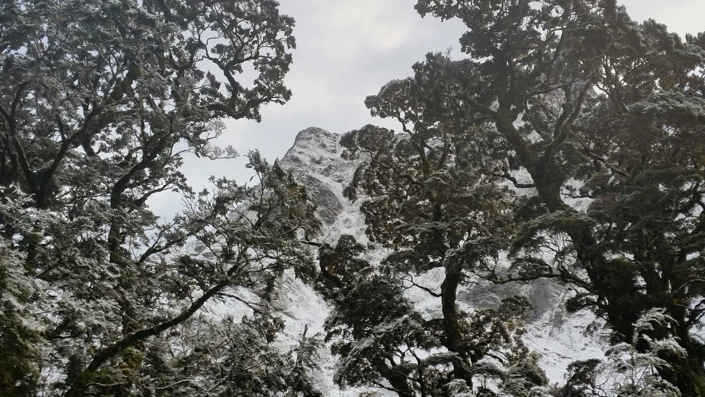 360albumviewer_imgproc_947801719.png