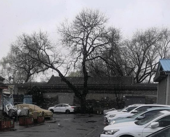 微信截图_20250316105351.png