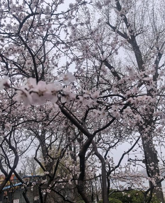 微信截图_20250316105240.png