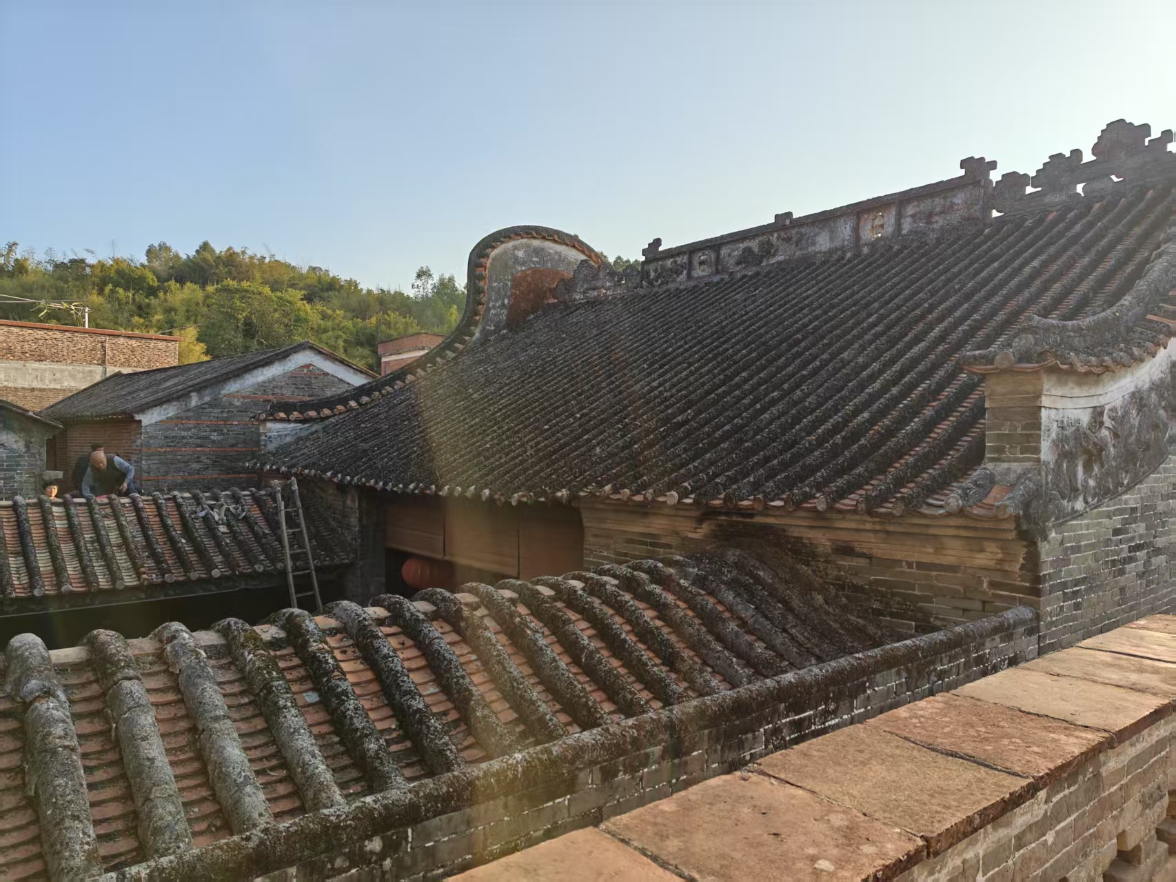 微信图片_20250316111856.jpg