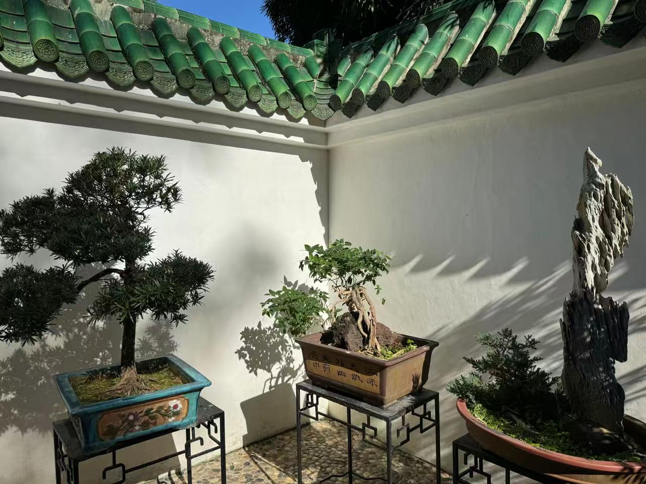 微信图片_20250316113314.jpg