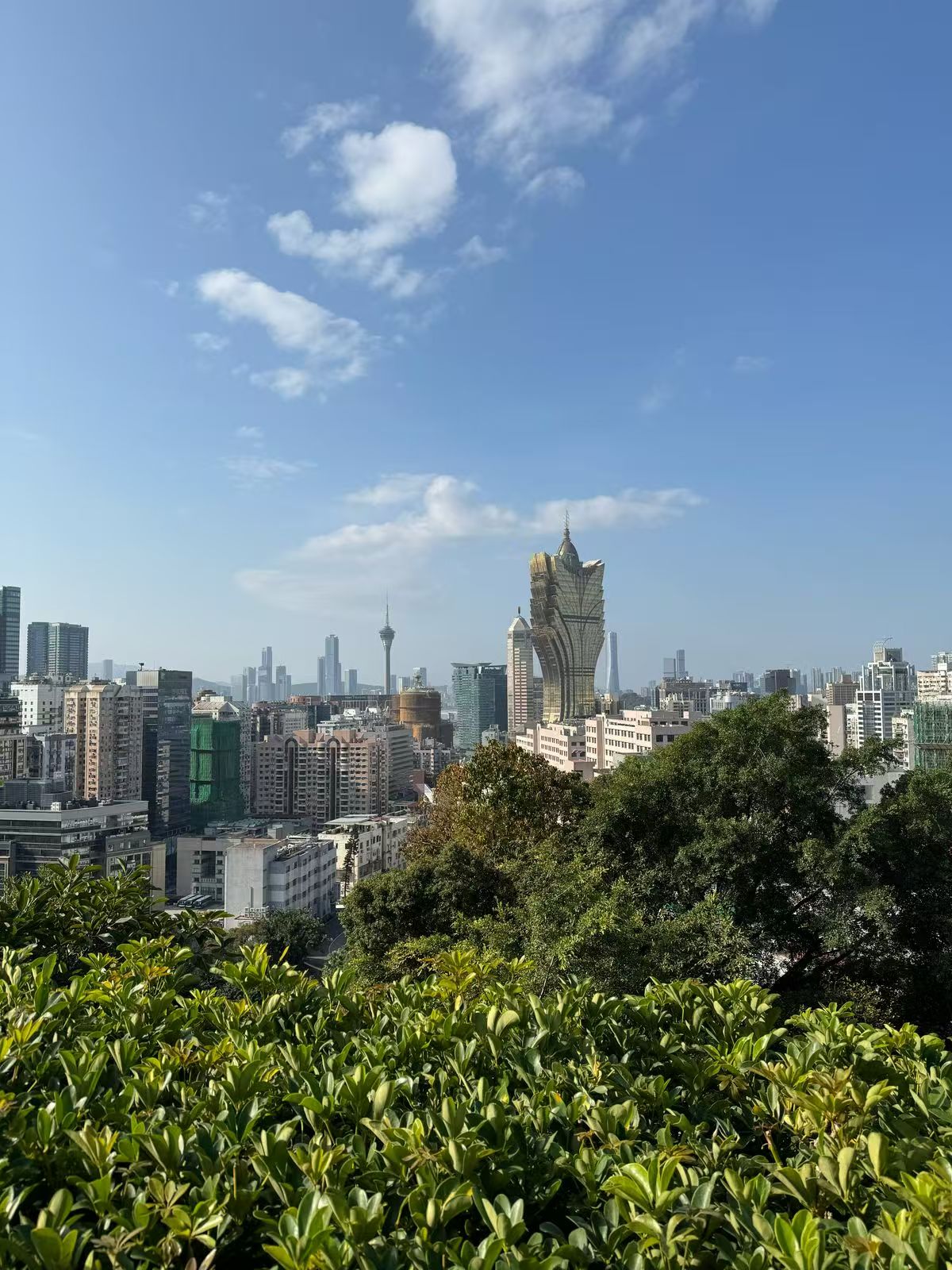 微信图片_20250316114016.jpg