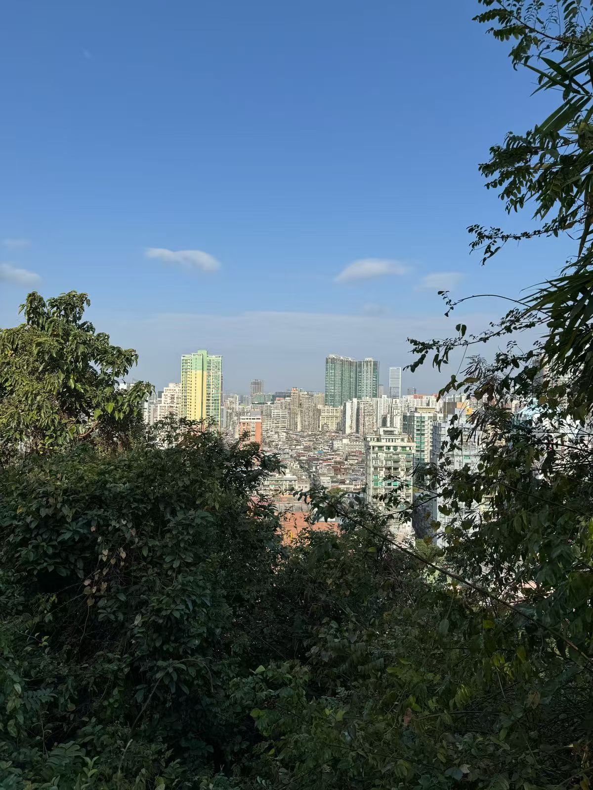 微信图片_20250316114019.jpg
