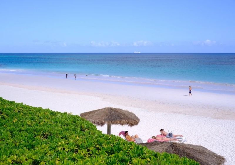 巴哈马·旅游｜粉红沙滩Pink Sands Beach攻略_8_廖EE世界民俗文化World Culture🌍_来.jpg